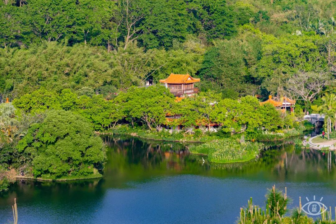 深圳值得去的70个公园你去过几个,深圳最值得去的七大主题公园