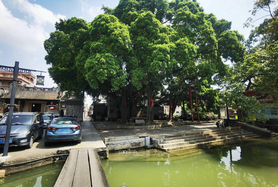佛山寻味古村美食,隐藏佛山古寺私房菜