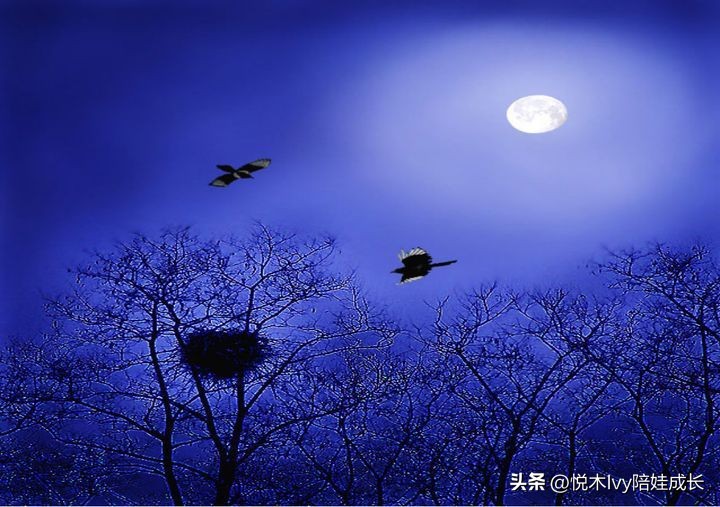 辛弃疾西江月稻花香里说丰年赏析,辛弃疾的西江月稻花香里说丰年