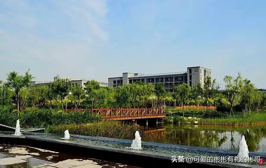 天津师范大学基础教育,天津师范大学基础建设