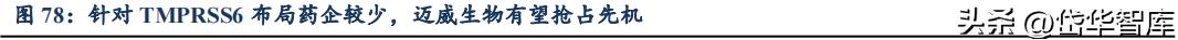 有效避开内卷，迈威生物：ADC锋芒初显，快速成长的Biopharma