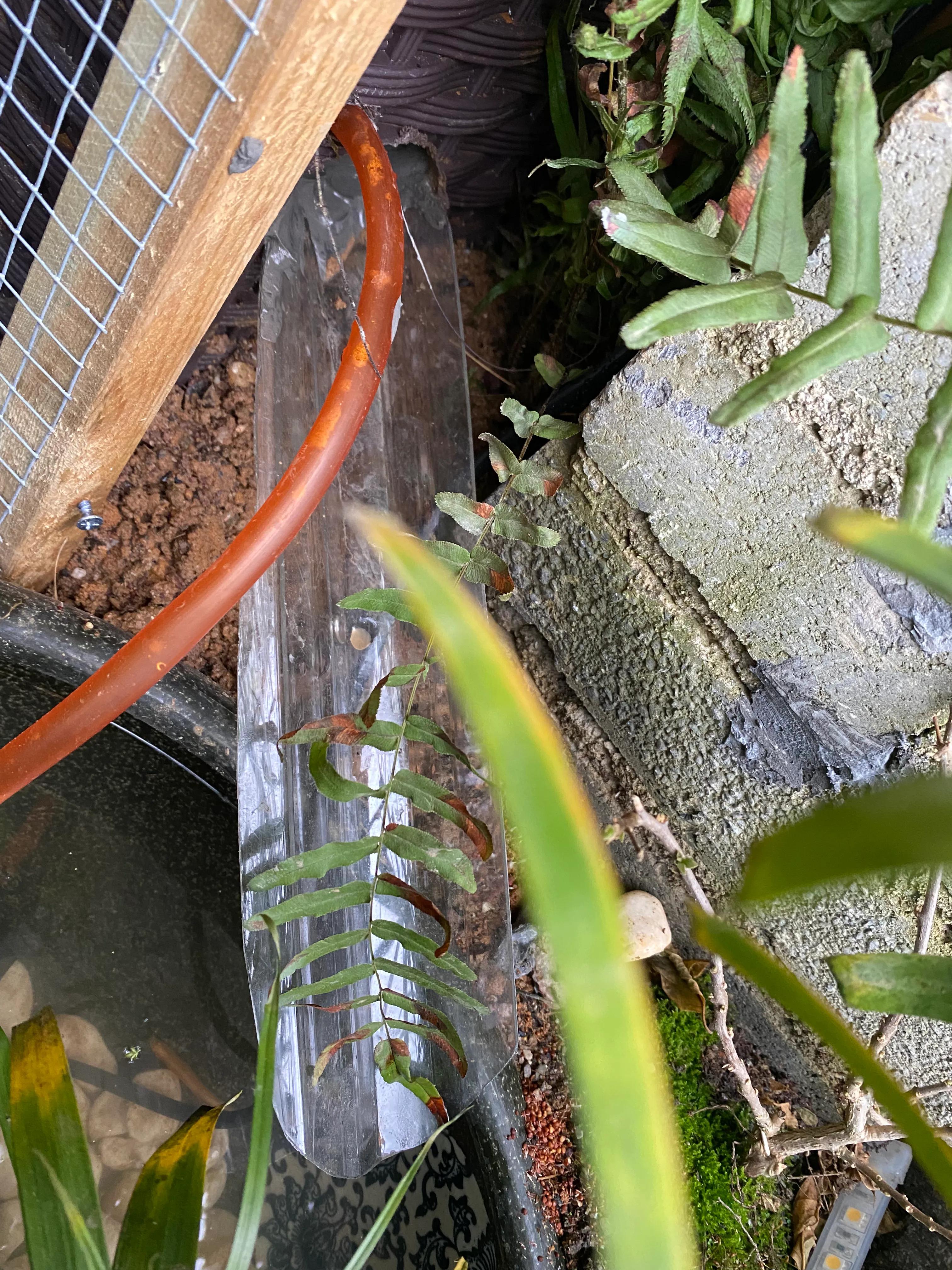 怎么快速查出水池漏水原因,水池漏水如何查漏维修