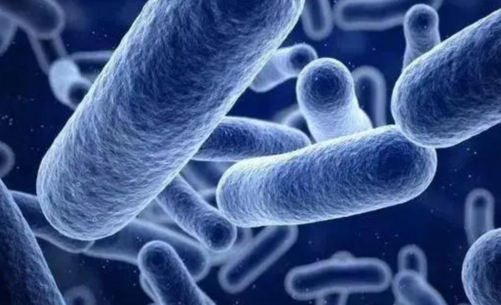 内裤上有分泌物什么原因,为什么内裤总是有分泌物