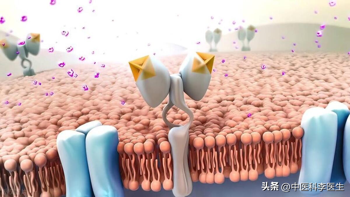 国内首款口服降糖药获批,降糖药3期临床试验的是哪个药