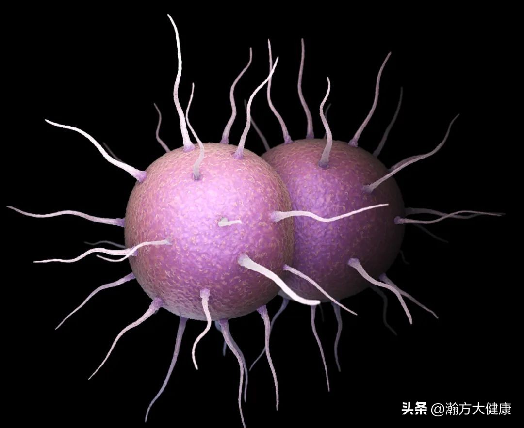 白带异常多经期紊乱,白带异常有炎症怎么治疗