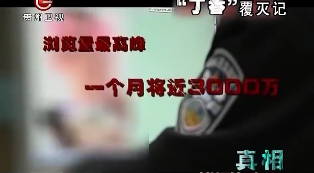 丁香覆灭记中的警方,丁香覆灭记免费观看