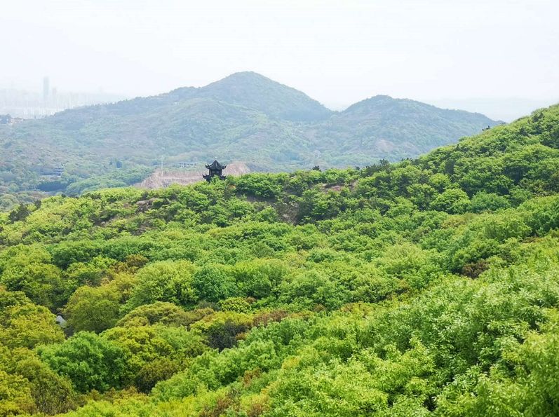 爱旅经常组织的市内登山路线，传说健康的人都去了这里......