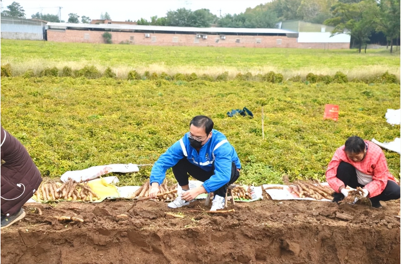 温县祥云镇中通快递,河南温县中通快递
