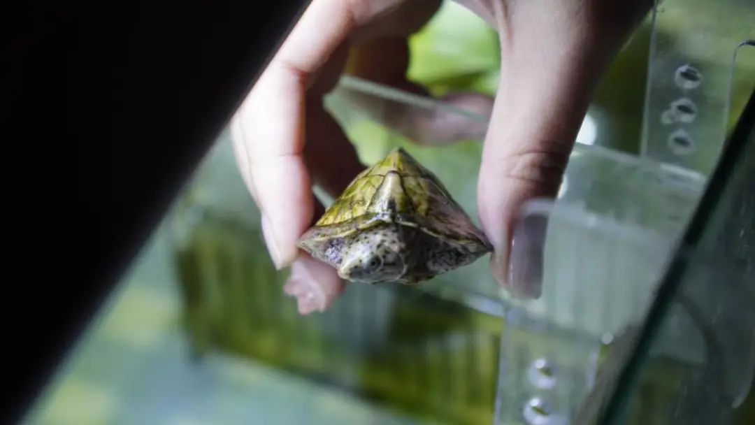 送外卖一个月挣2w,送外卖三年攒钱40万后续