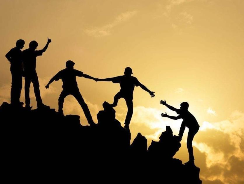 非营利组织领导与管理的区别,非营利组织管理中的作用