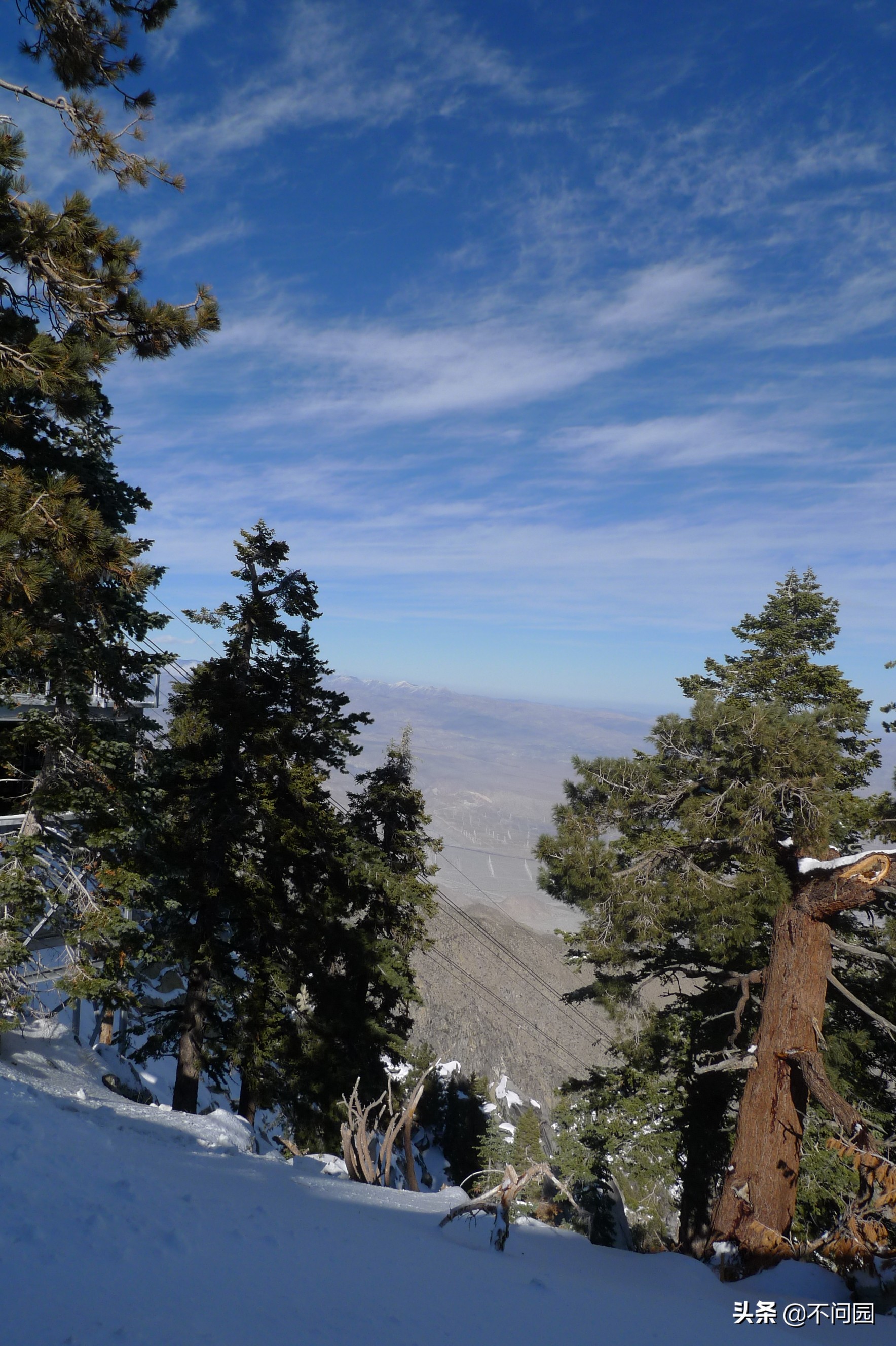 棕榈泉缆车,美国加州棕榈泉缆车