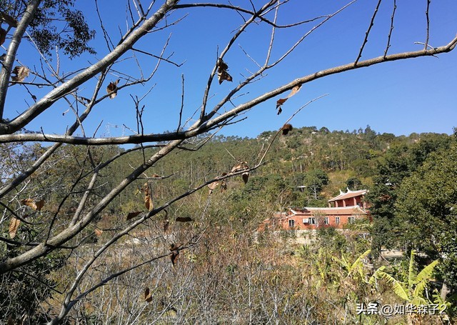 22年养牛和养羊哪个赚钱更有前景,养猪养牛养羊哪个赚钱的多