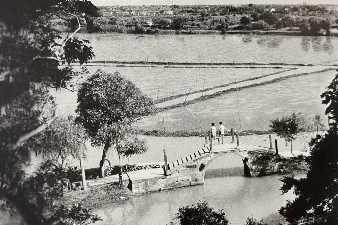 大闸蟹攻略带你品味大闸蟹,哪里大闸蟹可以媲美阳澄湖大闸蟹