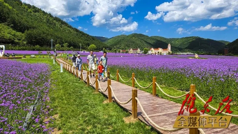 庆阳市双轮驱动三化并进,庆阳双轮驱动三化并举