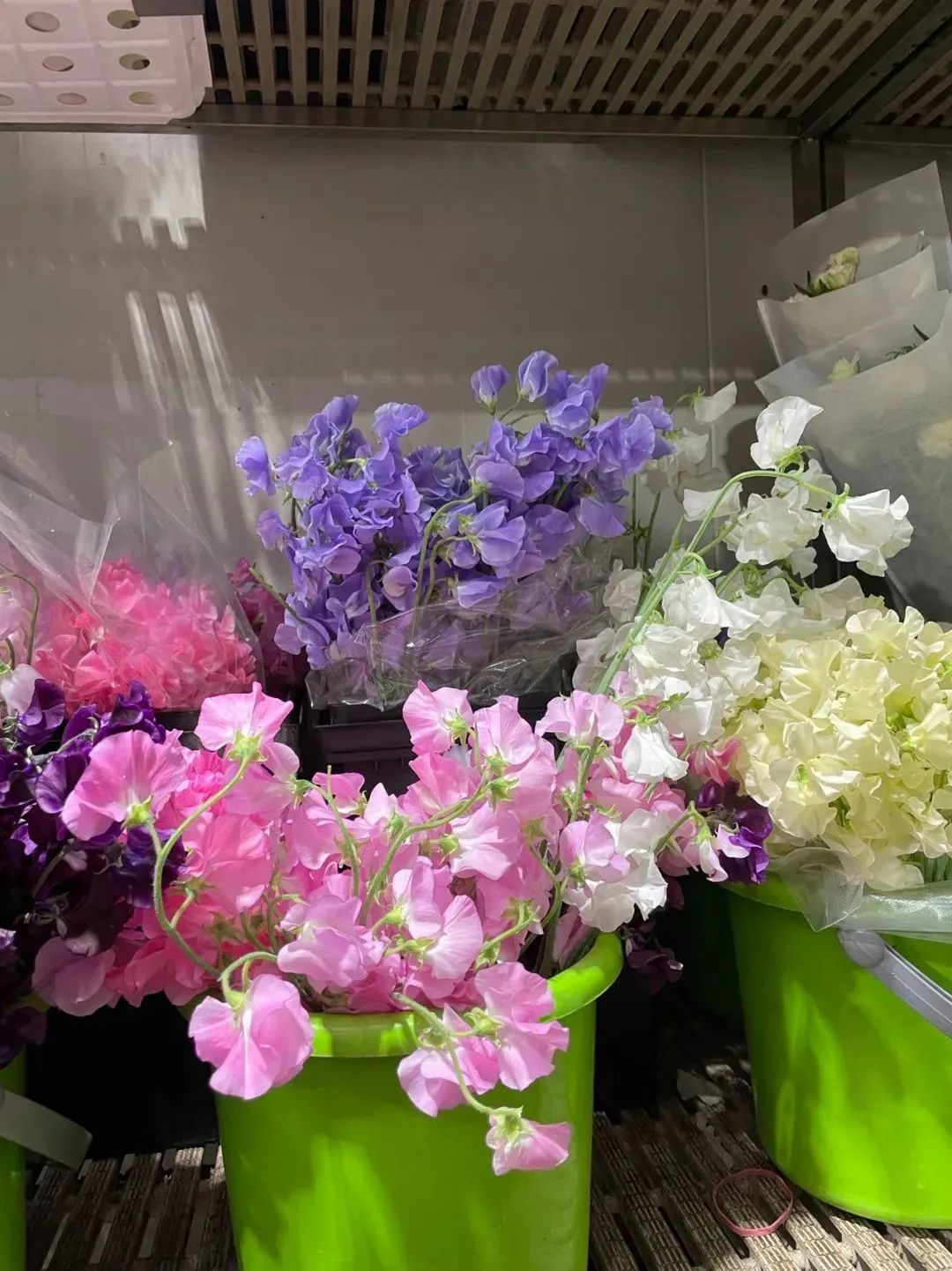 新手必看鲜花养护攻略,鲜花在水里能养几天会死