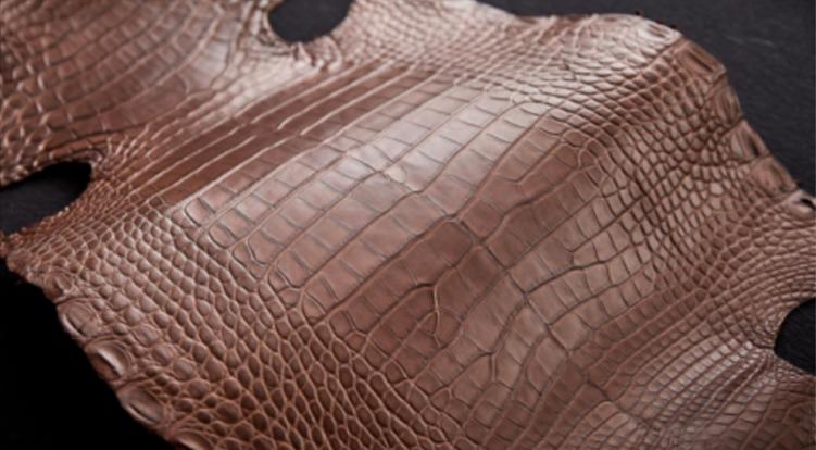 鳄鱼皮表带双面的好还是单面的好,你所不知道的鳄鱼皮表带