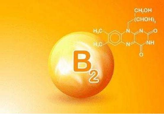 维生素b2降血压成人一天吃几片,维生素b2有降血压的功效吗