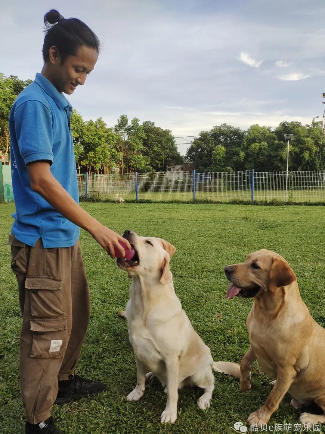 酷贝现在怎样了,你踩过坑吗测试