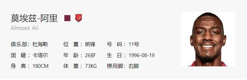 卡塔尔世界杯32强巡礼之埃及,卡塔尔世界杯32强巡礼德国