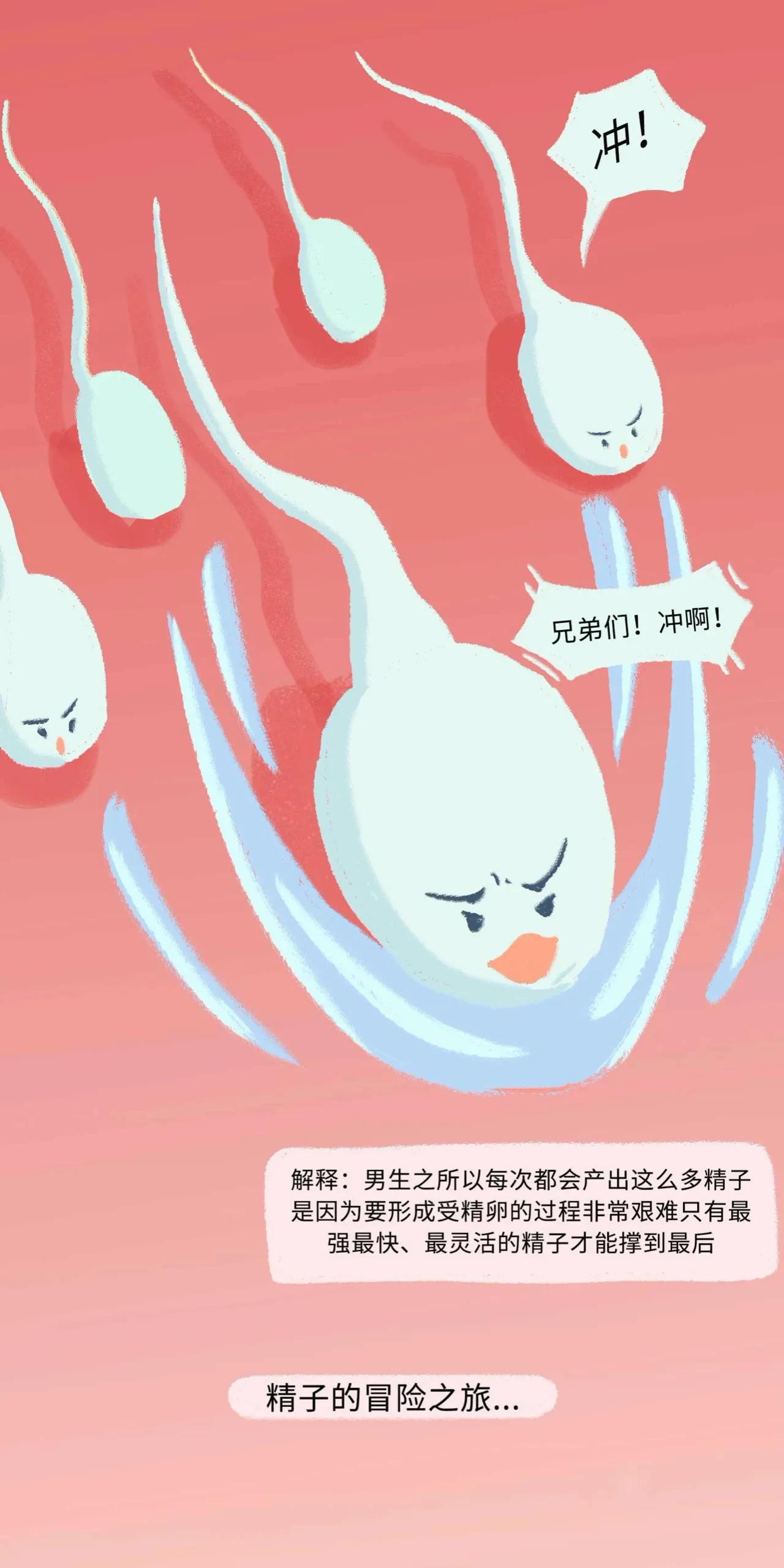 精子进入女生体内的全过程曝光！太励志了吧！