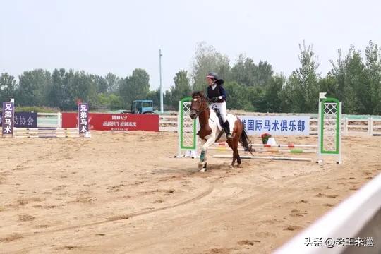 马术比赛最新消息,徐州市第二届青少年马术公开赛