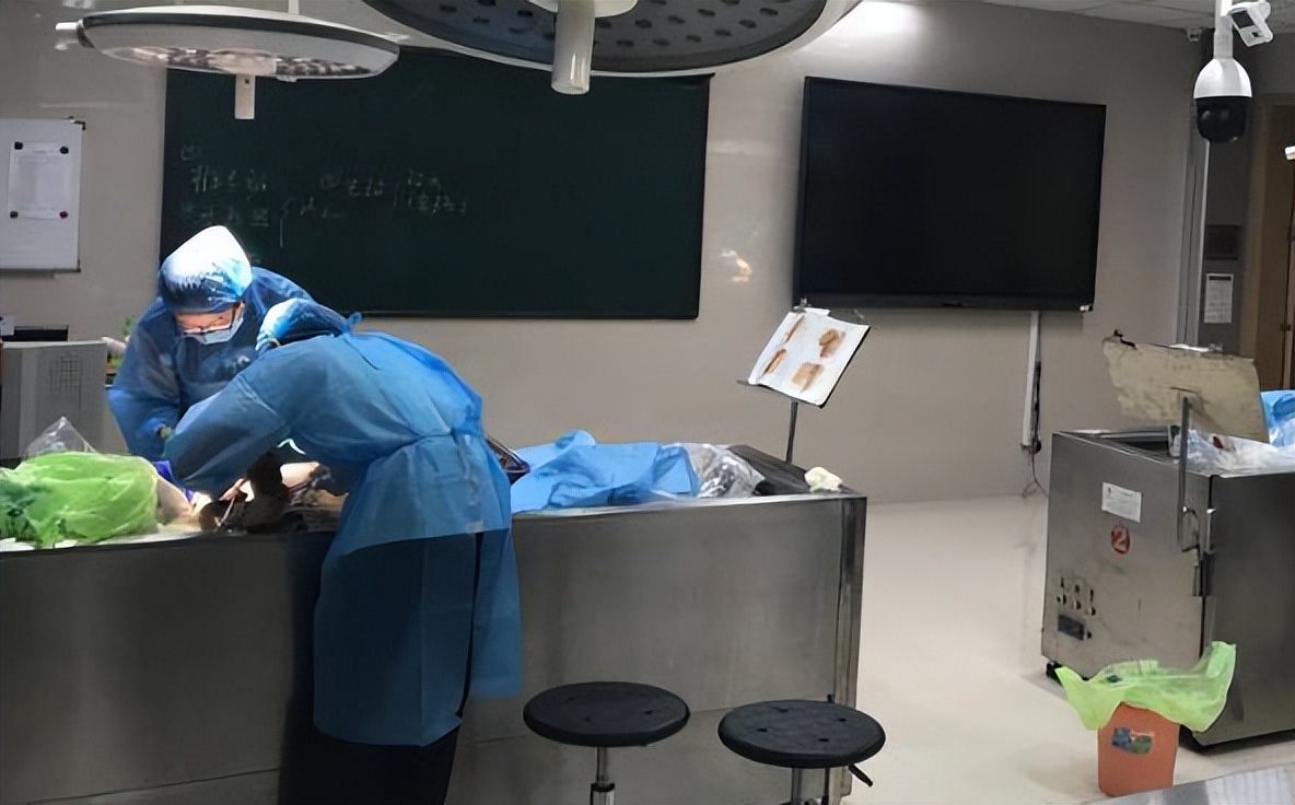 煮人骨，剔腐肉，一年处理50具遗体，直面死亡的人体标本制作师