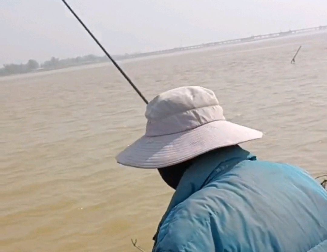郑州黄河边捉老鳖,山东河南交界处黄河老鳖