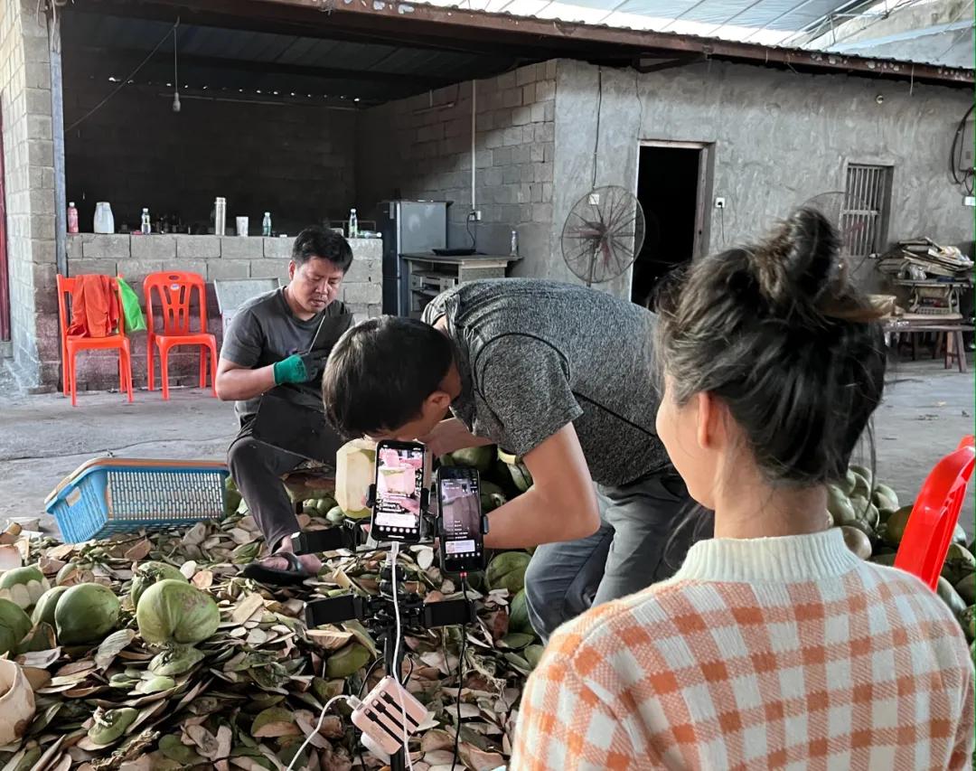 去海南探访椰子潮流背后的秘密,去海南要知道什么