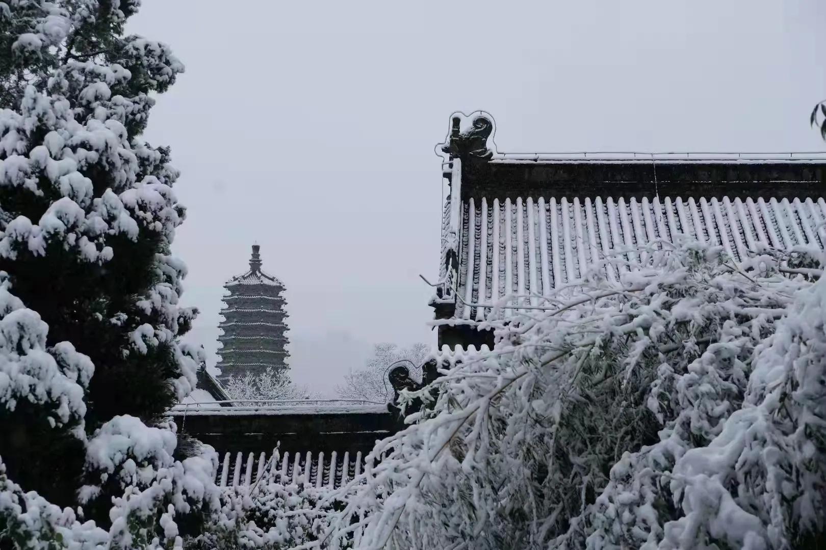 以案说法：“号商”对接“卡商”恶意批量注册QQ号码并出售的认定