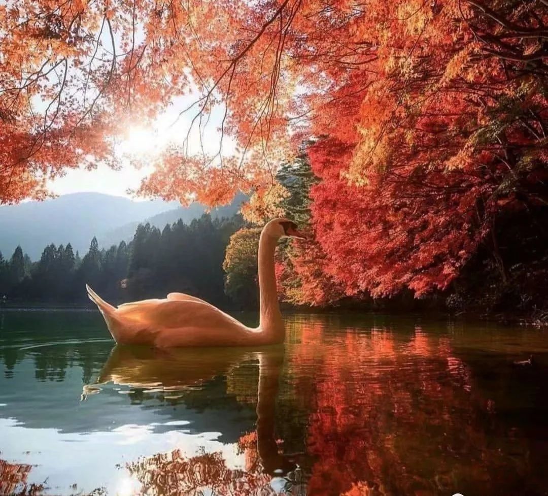 学习优秀摄影作品,摄影教学作品欣赏