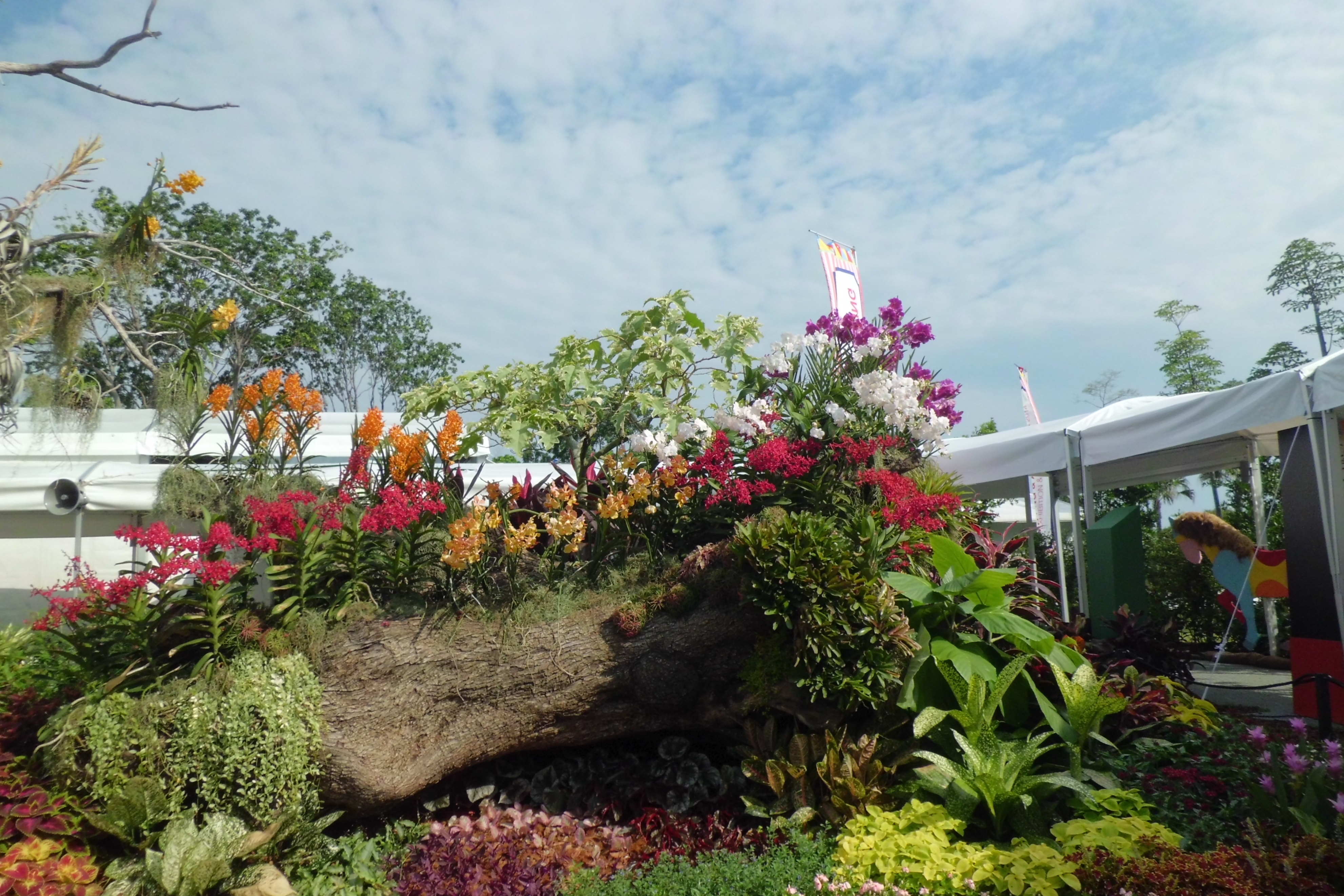 新加坡滨海湾金沙花园景观房,新加坡金沙空中花园高清图