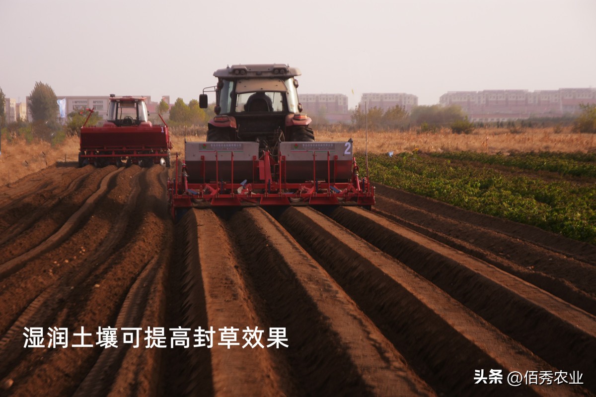 排名第一的水稻除草剂,二甲戊灵除草剂的特点