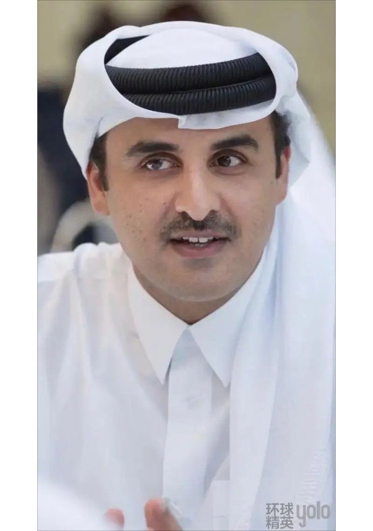 卡塔尔新任埃米尔塔米姆,卡塔尔埃米尔塔米姆资料