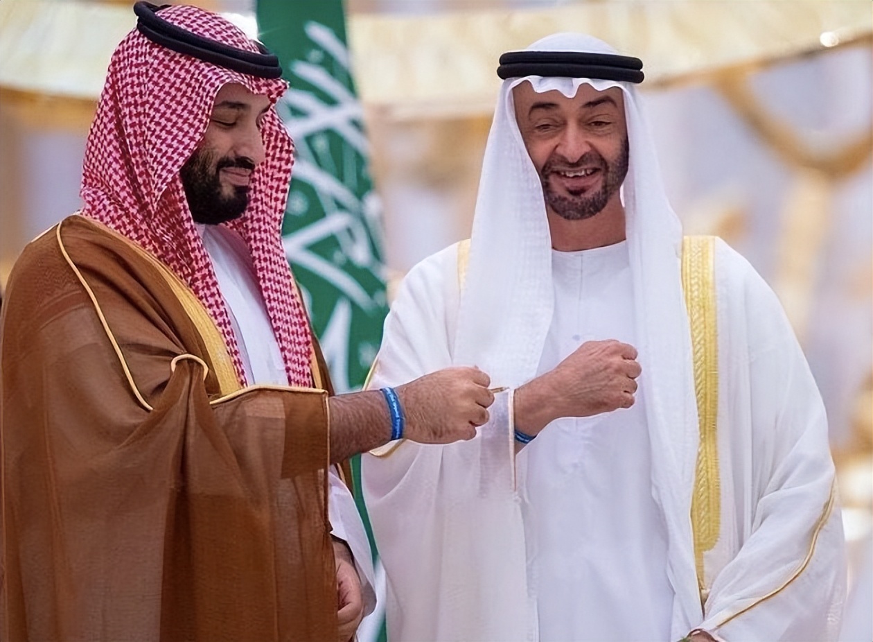 海湾“正主”：阿联酋新总统扎耶德，中东乱局的幕后大佬