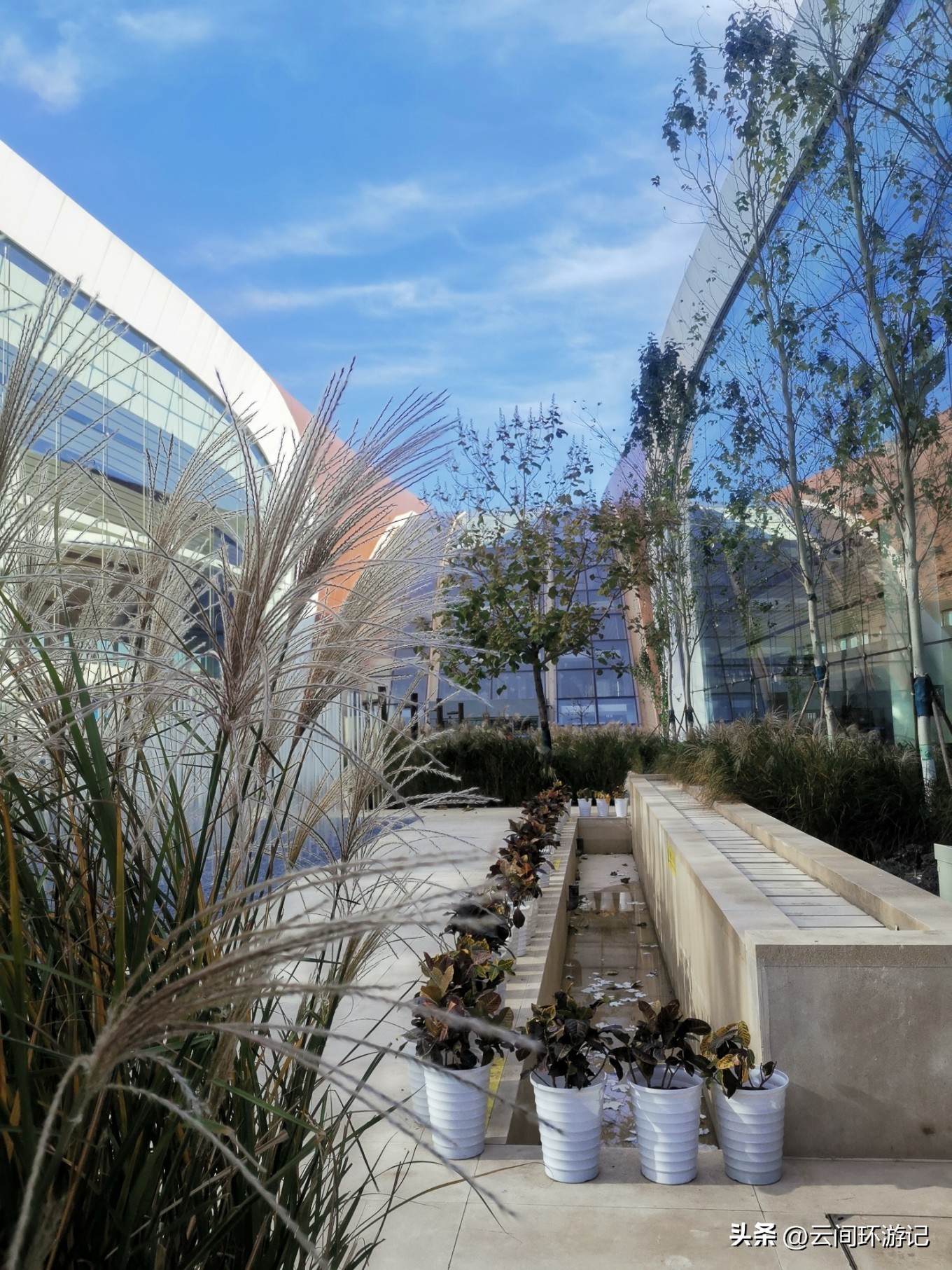 有情亦要食（延边延吉）