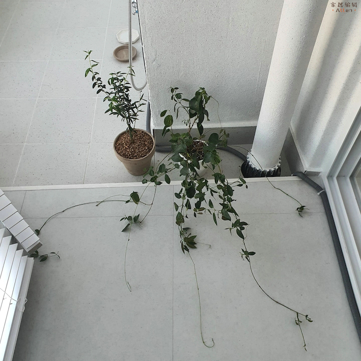 高度自律的生活是什么样的,高度自律生活