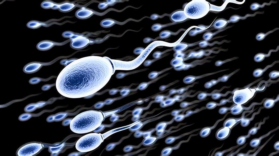 捐精的具体流程是怎样的?捐精者亲述历程,事后可领7500补贴