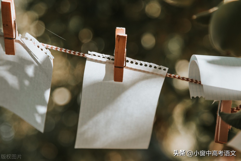 2021年热门话题作文素材,2022作文热点素材及金句