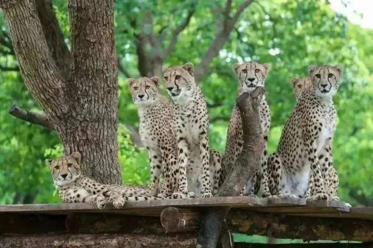 五一小长假活动任你玩,上海浦东五一游玩攻略