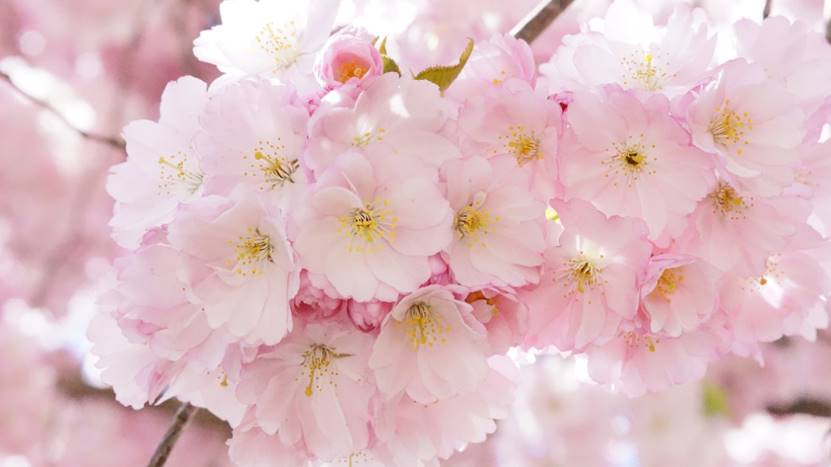 当对方变得冷漠了怎么办,当别人沉默时你该怎么说