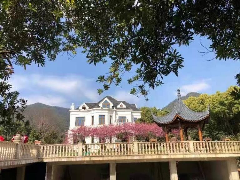 无疾”文化牵主线精神家园展新姿