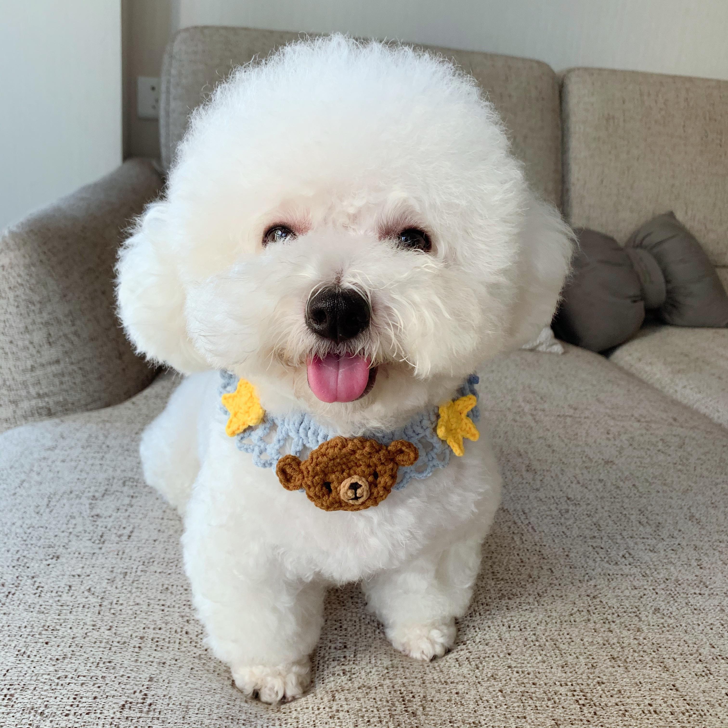 养狗新手推荐什么狗便宜,买什么狗最好养又便宜