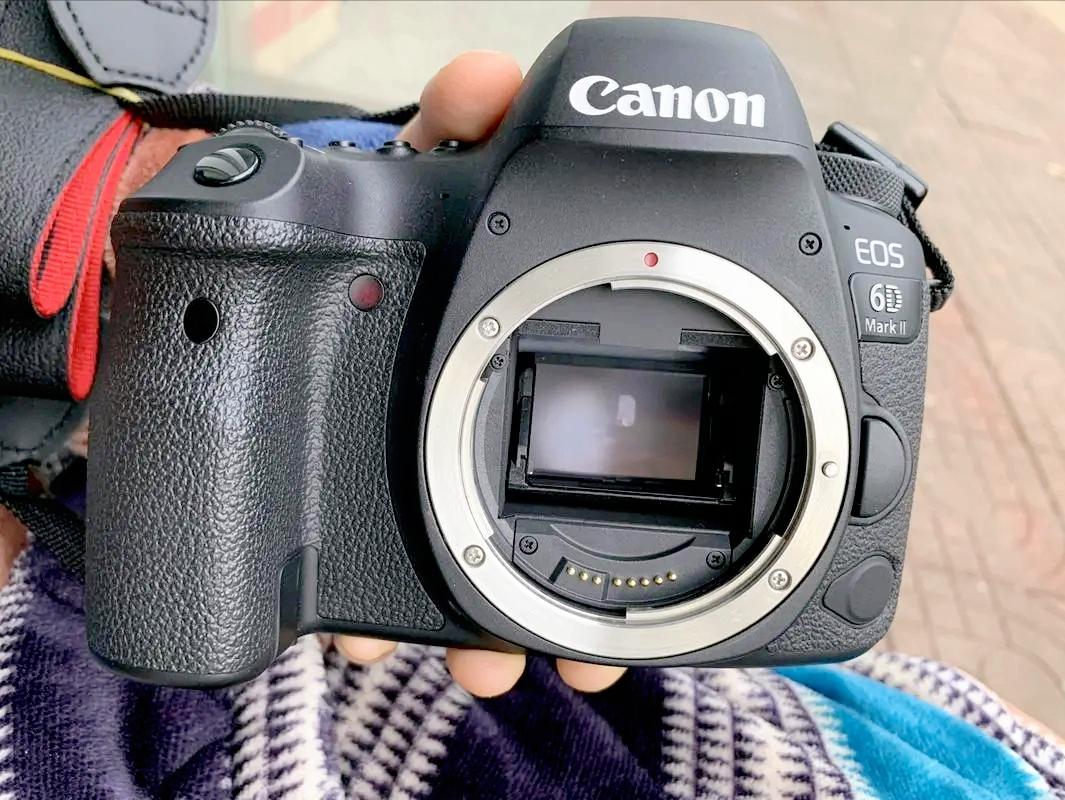 佳能尼康索尼富士哪个单反相机好,尼康入门单反相机推荐哪款比较好