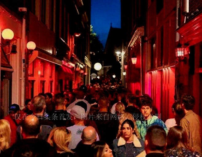 带你看看真实的荷兰,荷兰为什么这么多王国