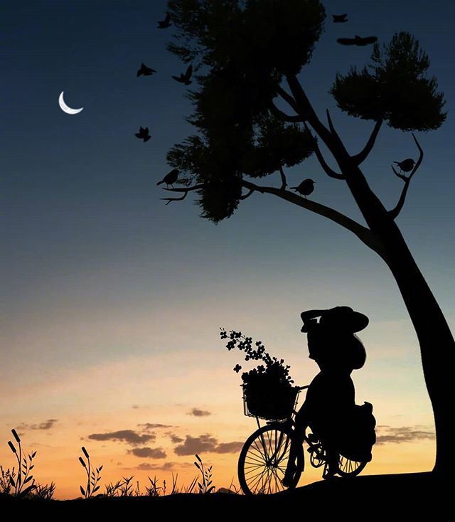 赞美月亮的优美诗句小学生必备,描写月亮或表达思乡之情的诗句