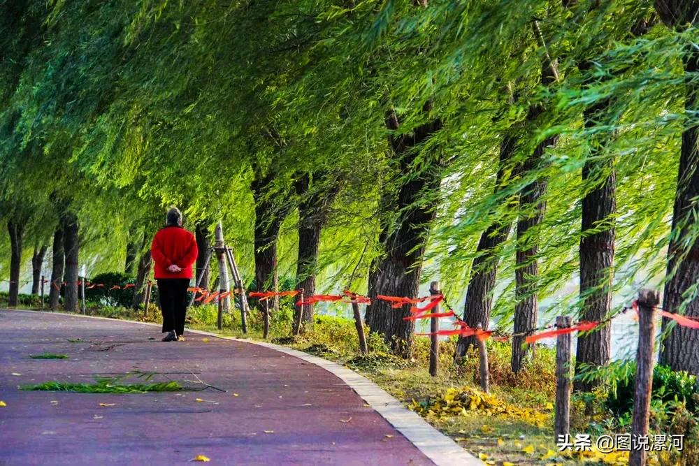 摄影比赛获奖名单公示,摄影大赛颁奖活动暨摄影展美篇