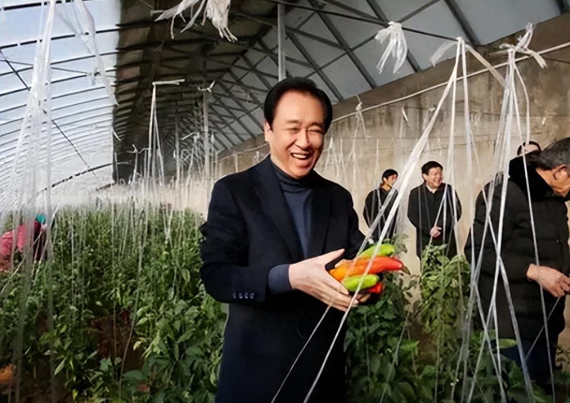 富豪家印养20控梯员年薪30万，你想知道为什么？