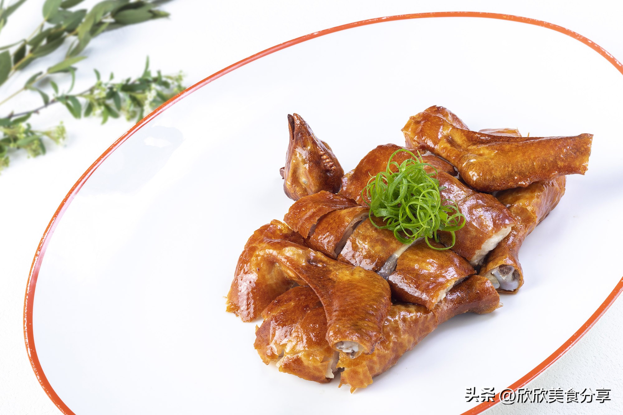 餐厅春菜上新，网罗山川田野的鲜食滋味