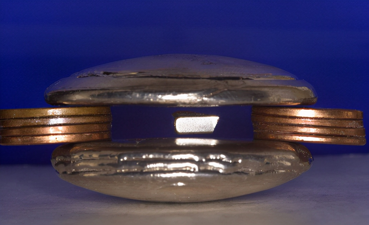 把人放进强磁场中会怎样?科学家用青蛙做实验,得到一只反重力蛙