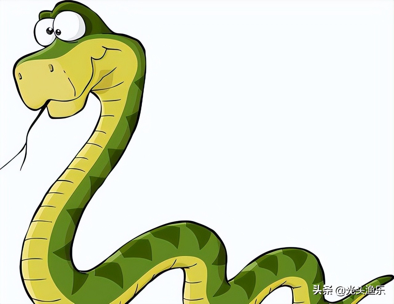 巨蛇为蟒巨蟒为蚺,大蛇为蟒大蟒为蚺什么意思